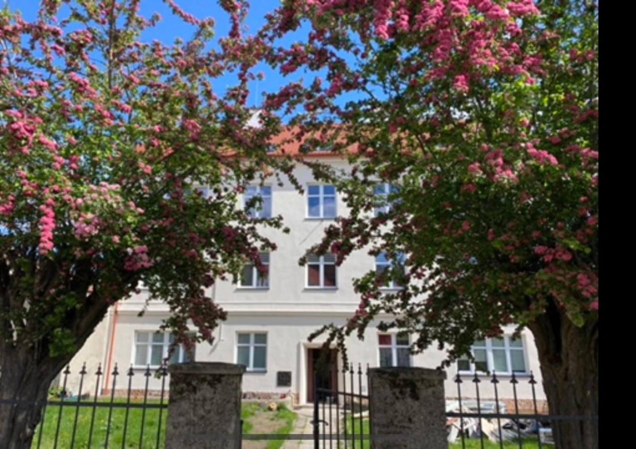Apartament 3 Pokojowy Z Parkingiem Apartment Zabkowice Slaskie Bagian luar foto